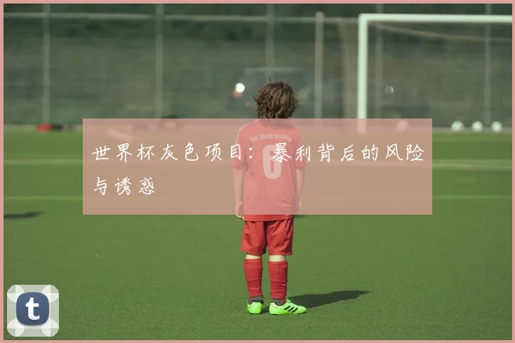 世界杯灰色项目：暴利背后的风险与诱惑