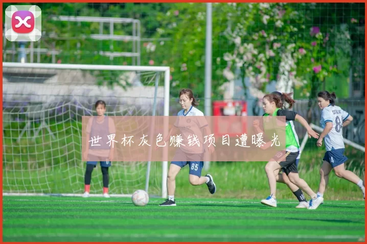 世界杯灰色赚钱项目遭曝光