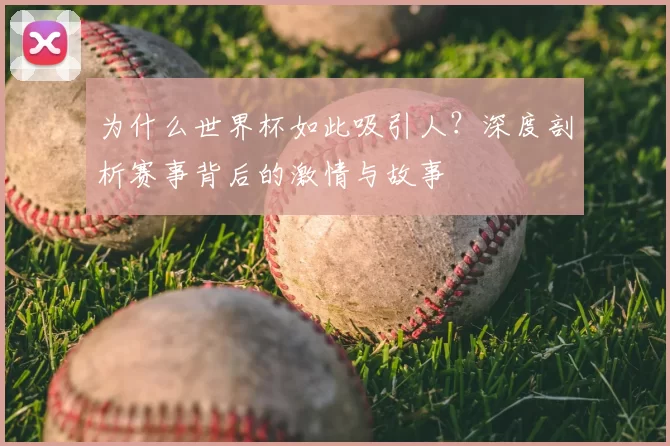 为什么世界杯如此吸引人？深度剖析赛事背后的激情与故事