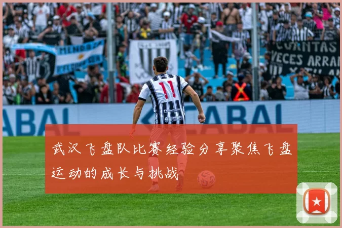 武汉飞盘队比赛经验分享聚焦飞盘运动的成长与挑战