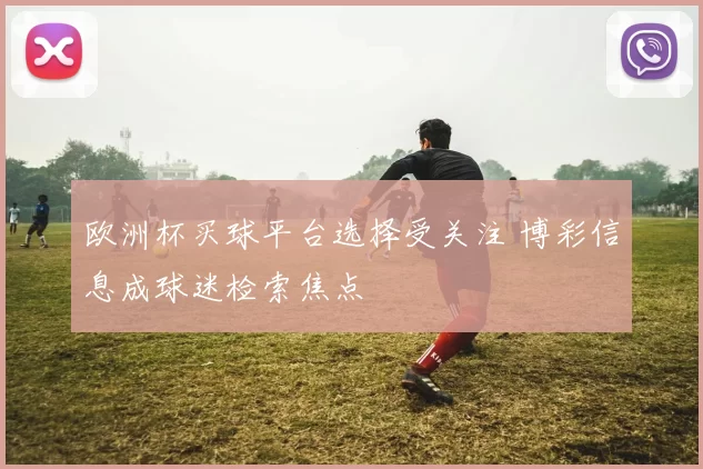 欧洲杯买球平台选择受关注 博彩信息成球迷检索焦点