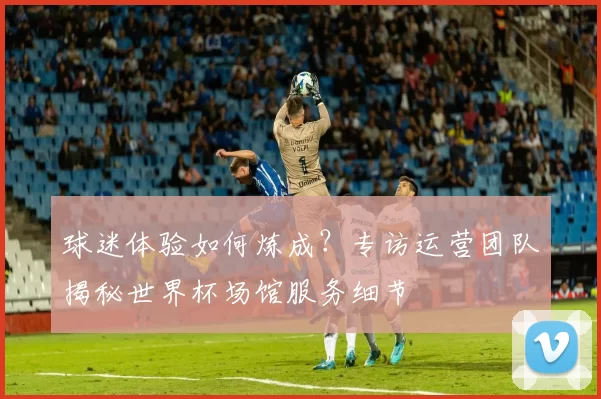 球迷体验如何炼成?专访运营团队揭秘世界杯场馆服务细节