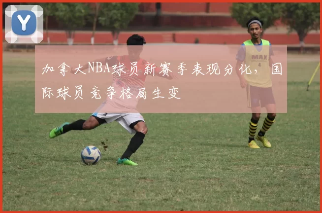 加拿大NBA球员新赛季表现分化,国际球员竞争格局生变