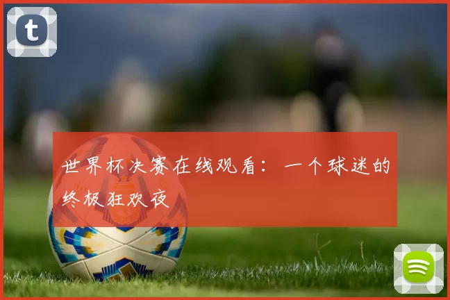 世界杯决赛在线观看:一个球迷的终极狂欢夜