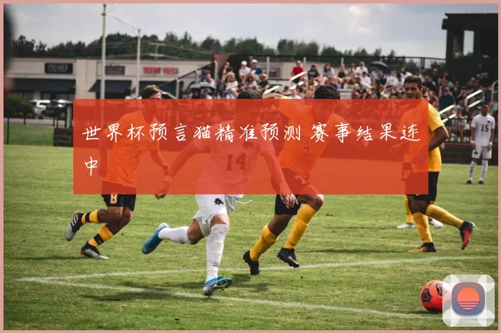 世界杯预言猫精准预测 赛事结果连中