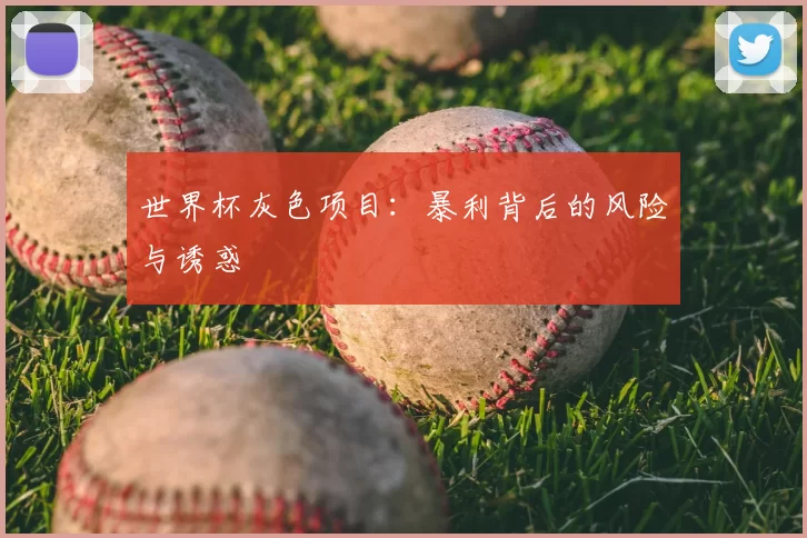 世界杯灰色项目:暴利背后的风险与诱惑