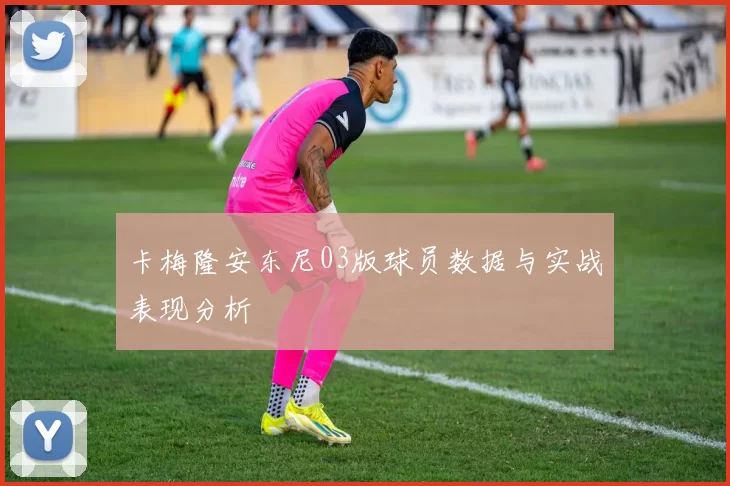 卡梅隆安东尼03版球员数据与实战表现分析